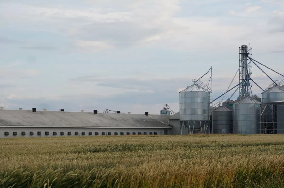 puste budynki inwentarskie nie przynoszą rolnikom bezpośredniego dochodu. Ponadto generują koszty związane z ich utrzymaniem i amortyzacją. Kosztowna jest także ochrona budynków przed techniczną degradacją.