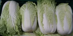 Jakie są ceny kapusty pekińskiej na krajowym rynku we wrześniu 2025?