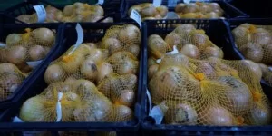 Jakie będą ceny warzyw w&nbsp;sezonie 2025/2026? Znamy prognozy