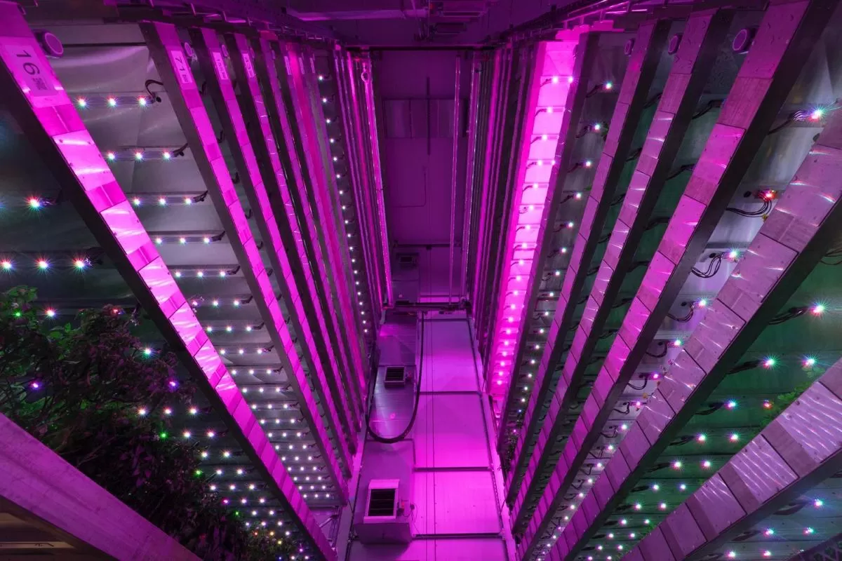 Każda z&nbsp;wież uprawowych będzie działała w&nbsp;oparciu o&nbsp;technologie IGS, które pozwalają uprawiać warzywa w&nbsp;kontrolowanych warunkach, niezależnie od klimatu i&nbsp;dostępności gruntów rolnych.