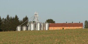 Koniunktura w&nbsp;rolnictwie 2025 – dane na III kwartał