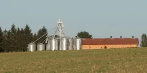 Koniunktura w rolnictwie w III kwartale 2025