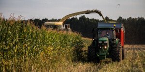 Ceny za usługi rolnicze 2025 – ile zapłacisz za koszenie kukurydzy i orkę?