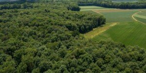 Wnioski na usługi związane z rolnictwem i leśnictwem. Do kiedy można składać?