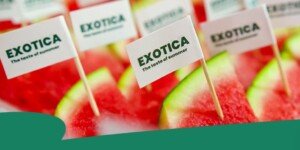 Bezpestkowy mini arbuz Exotica innowacją 2025 roku!