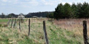 Inwestycje na obszarach Natura 2000 — więcej czasu na złożenie wniosków