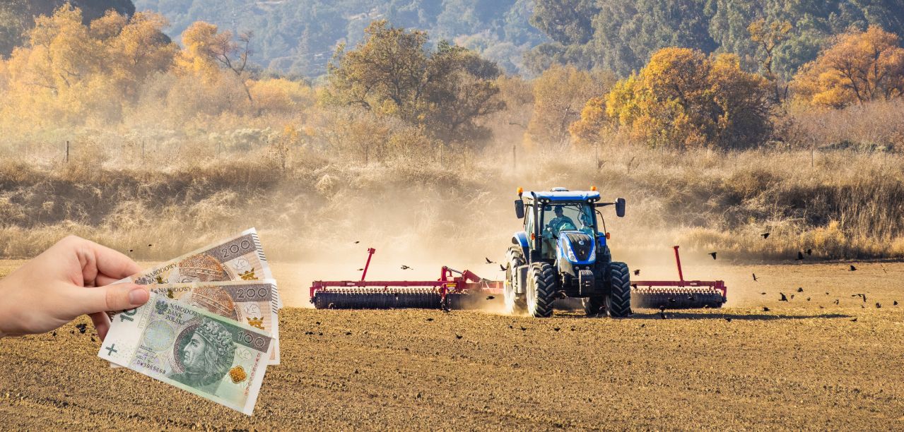 Jakie będą stawki dopłat bezpośrednich 2025? Sprawdź ile dostaniesz do hektara