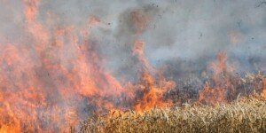 Pożary podczas żniw 2025 — doszło do 5740 zdarzeń!