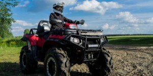 Quady na polach. Co mogą zrobić rolnicy?