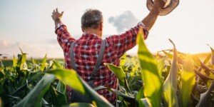 Dochód rolnika z 1 ha przeliczeniowego oderwany od rzeczywistości. Dane GUS szokują