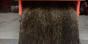 Ile kosztuje rzepak 2025? Są delikatne podwyżki