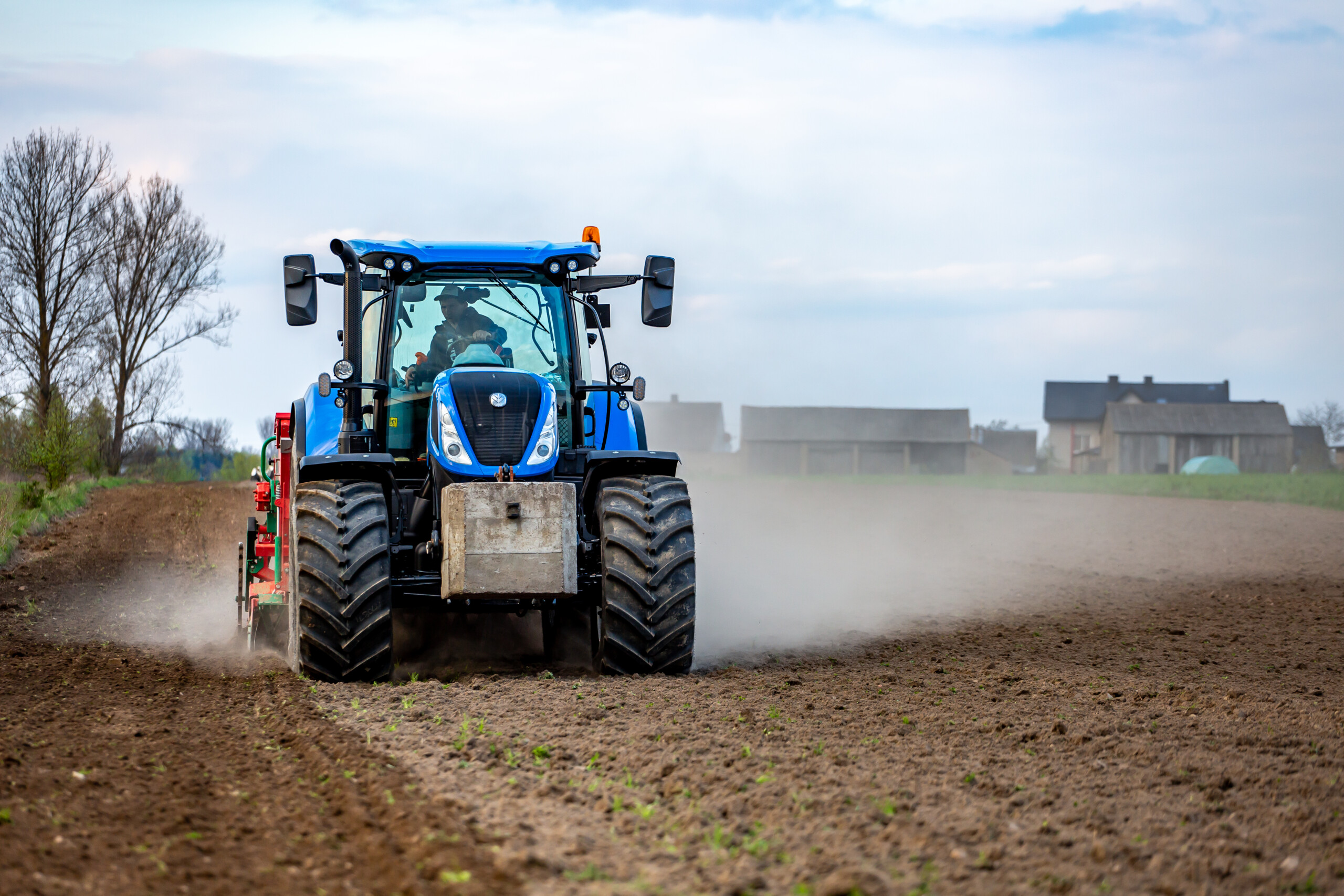 siew łubinu na wiosne / 2023