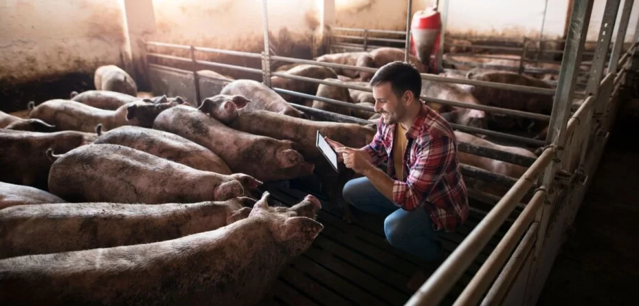 Dofinansowanie na bioasekurację 2025