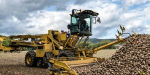 Producenci cukru w Europie zagrożeni przez umowę UE-Mercosur