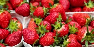 Unijny rynek truskawek zmniejszył się o 13% w ciągu dekady