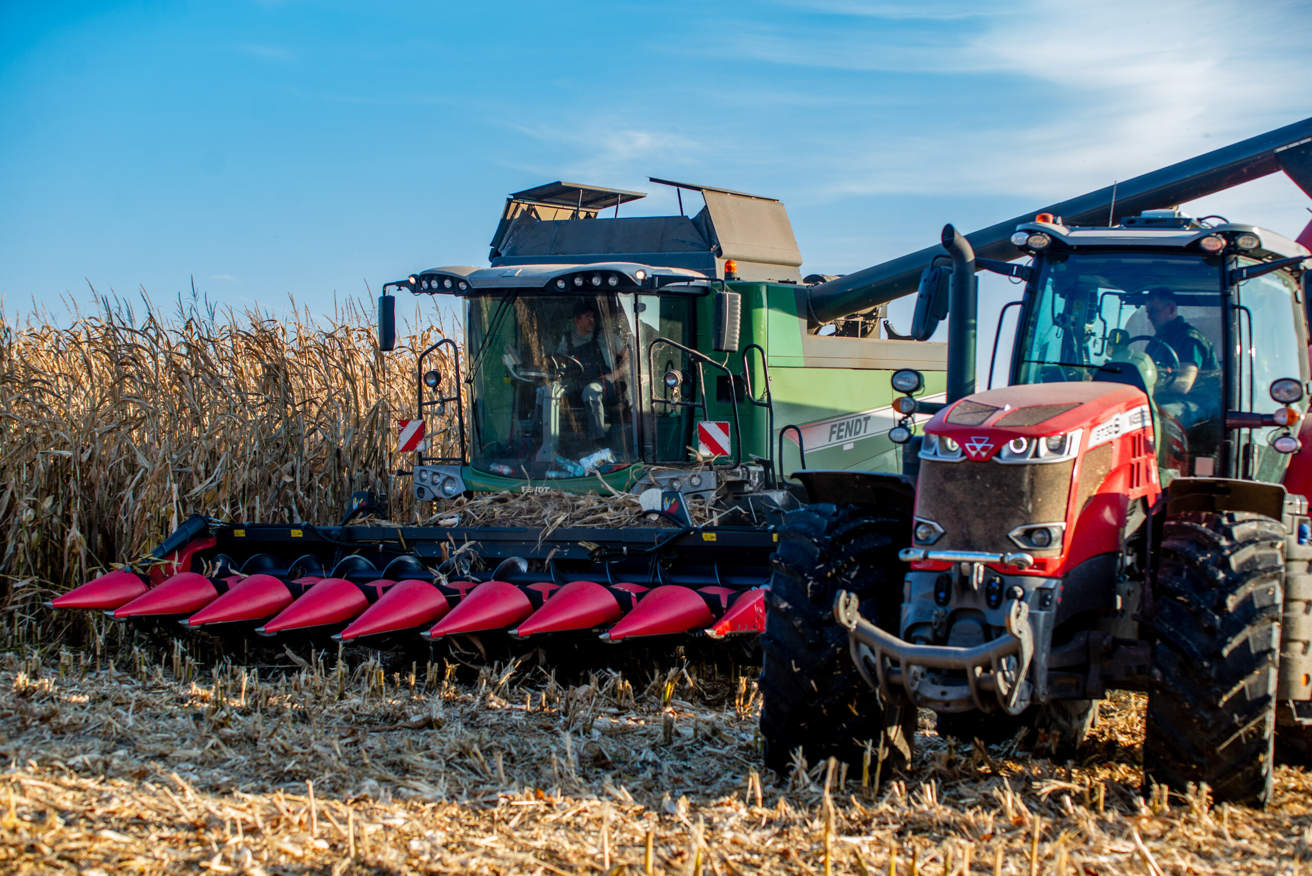 żniwa kukurydzy
Mazowsze pow. radomski gm. Potworów

Fendt & Massey Ferguson