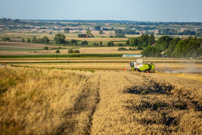 Zbiory zbóż w Polsce 2025