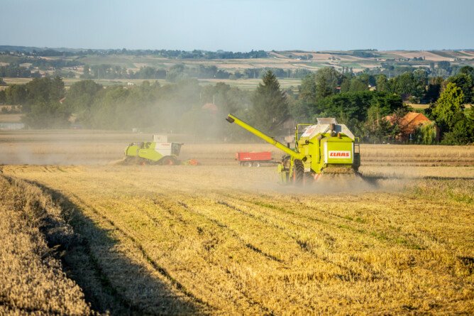 Dopłata do zboża 2025