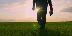 Dofinansowanie dla organizacji producentów rolnych