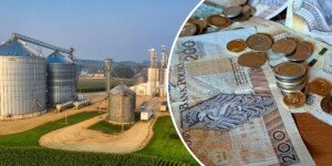 Rolnicy mogli stracić po 60 tys. zł dopłat. Rząd reaguje