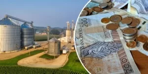 Rolnicy mogli stracić po 60 tys. zł dopłat. Rząd reaguje