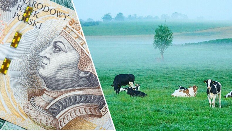 Gospodarstwo pod Kamieniem Pomorskim – okazja czy ryzyko