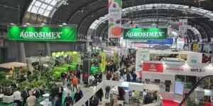 Nowy termin TSW 2026!