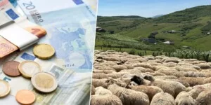 Rząd blokuje wypłatę dopłat dla 25 tys. rolników. „Działamy dla dobra rolnictwa”