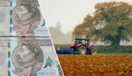 KOWR sprzeda 81 ha ziemi rolnej po spółdzielni za 2 mln zł. Nie każdy rolnik się odważy