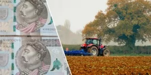 Ziemie po RSP w Bagnach do kupienia. Ile KOWR chce za 81 ha