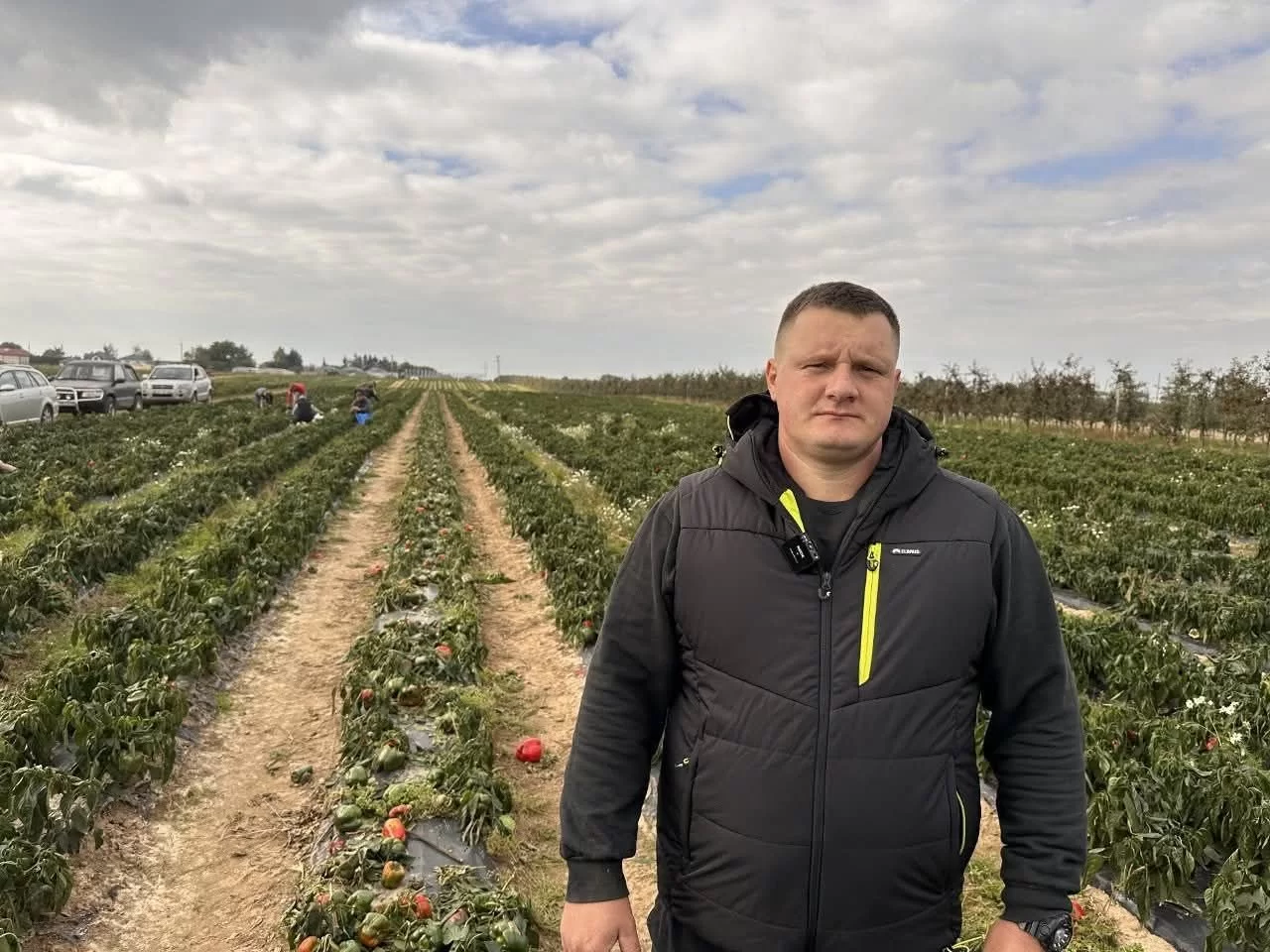 Rolnik z gminy Dwikozy pod Sandomierzem zdecydował się oddać całą paprykę, którą w tym roku wyprodukował w swoim gospodarstwie, żeby plony się nie zmarnowały. Jego desperacja poruszyła miliony internautów i odbiła się szerokim echem w mediach.