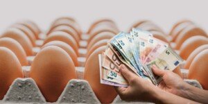 Co napędza wzrost ceny jaj? Polska wśród liderów notowań w UE