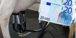 ceny mleka w listopadzie 2025