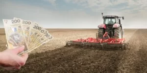 Stawki płatności bezpośrednich 2025