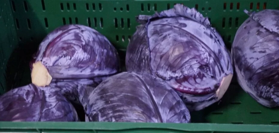 Jaka jest aktualna cena kapusty w hurcie?