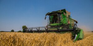 Niskie ceny zbóż dobijają rolników – izby żądają działań