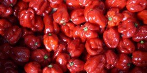 Kryzys w polskim rolnictwie. Jest tylko jedna droga wyjścia 