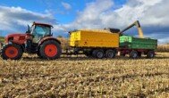 Ceny skupu kukurydzy mokrej 2025 – gdzie najbardziej spadły?