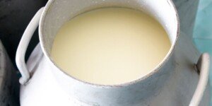 Cena mleka w&nbsp;skupie 2025 – GUS potwierdza pierwszy wzrost cen