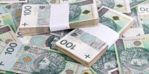 Nowe dotacje dla rolników 2025 — do zdobycia nawet 680 tys. zł