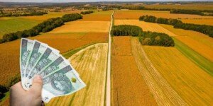 Wypłaty z ARiMR 2025 – pieniądze już na kontach rolników