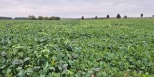 Wystartowały nowe nabory wniosków dla rolników — kto skorzysta?