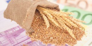 Ceny zbóż w&nbsp;górę po zapowiedzi umowy handlowej USA–Chiny