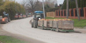 Rynek jabłek przemysłowych: ceny surowca 31.10.2025