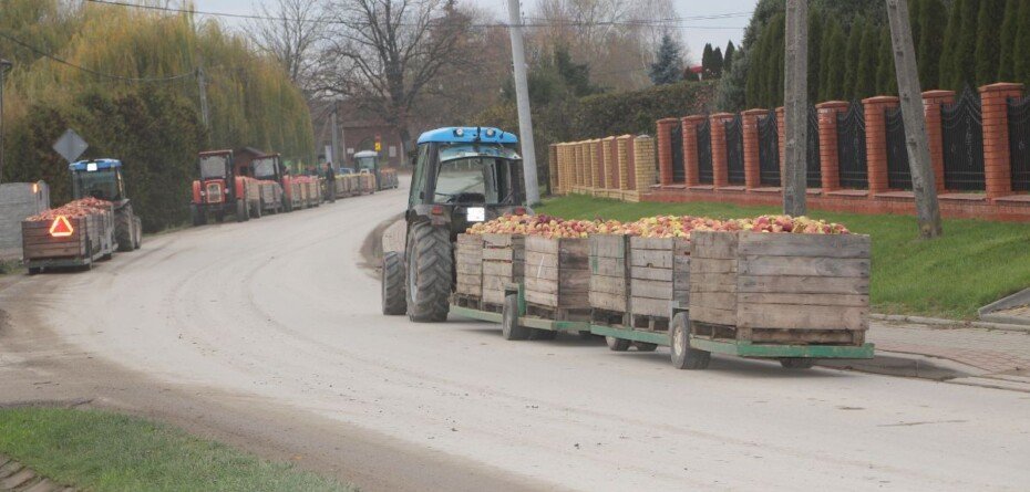 Rynek jabłek przemysłowych: ceny surowca 31.10.2025