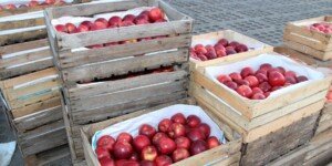 Ceny jabłek deserowych na Broniszach i&nbsp;innych rynkach