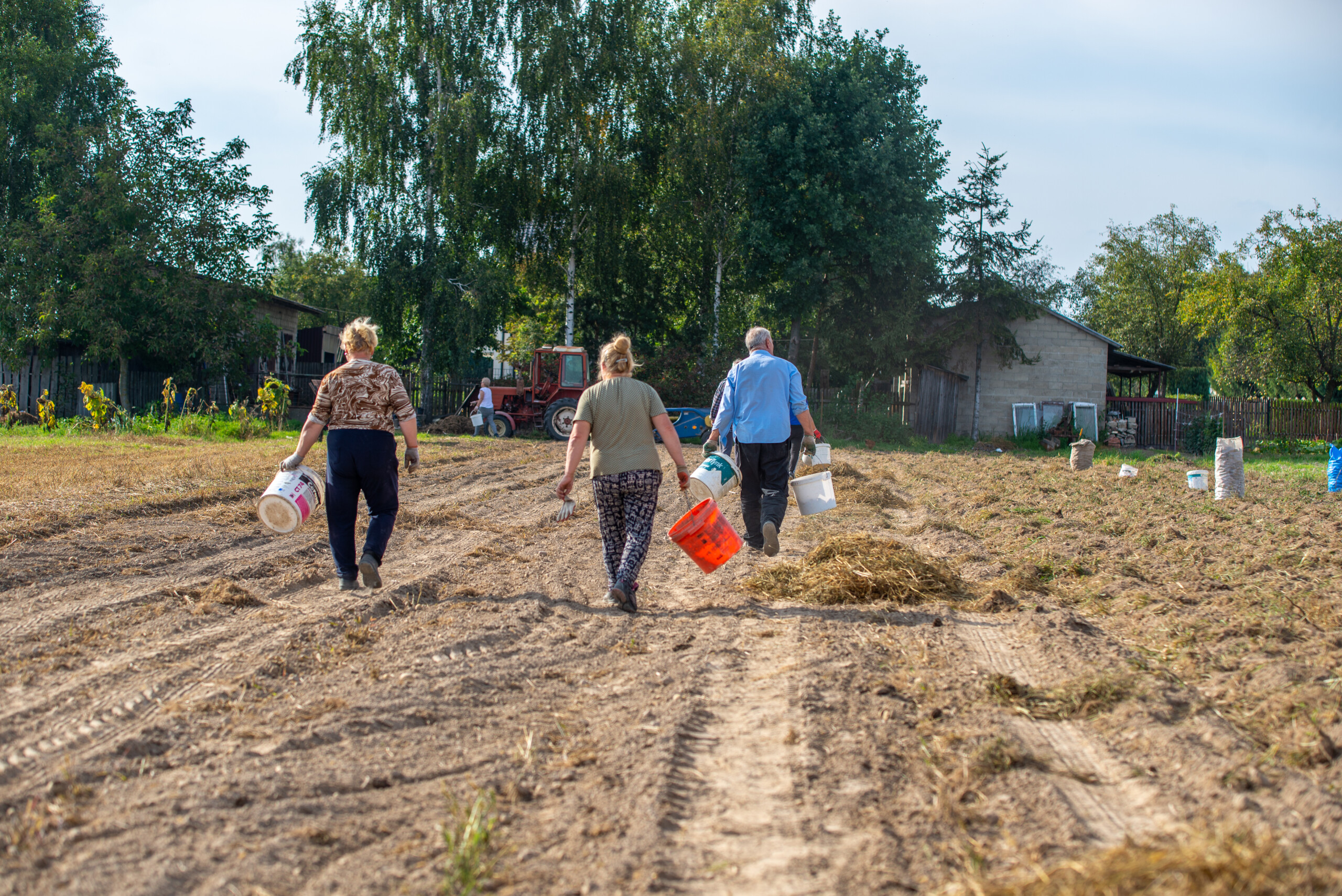 zdjęcia z tradycyjnych rodzinnych wykopek ziemniaków / 2021