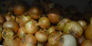 Naturalne sposoby na odporność – warto je wypracować!