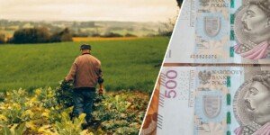 Kolejny cios w rolników. Opłaty za pracowników w gospodarstwach wzrosną 4-krotnie