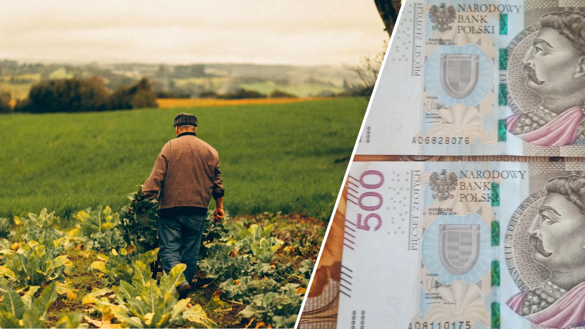 Kolejny cios w rolników. Opłaty za pracowników w gospodarstwach wzrosną 4-krotnie